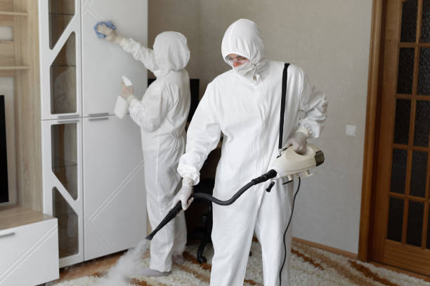 Mold Removal for HVAC Installations in Refugio, TX